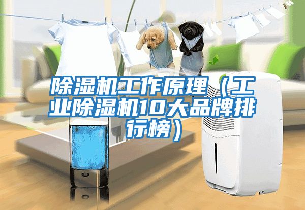 除濕機工作原理（工業除濕機10大品牌排行榜）