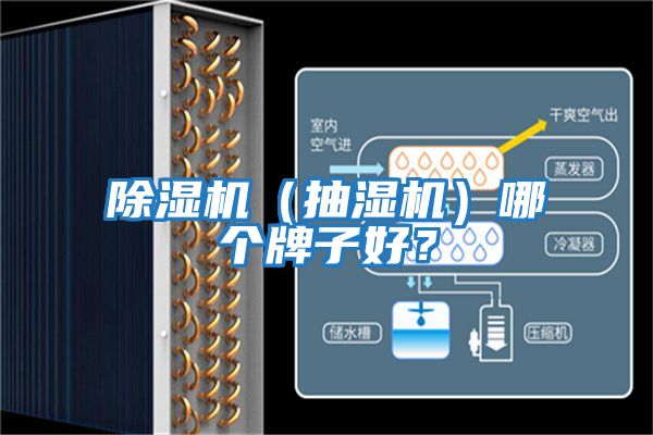 除濕機(抽濕機)哪個牌子好?