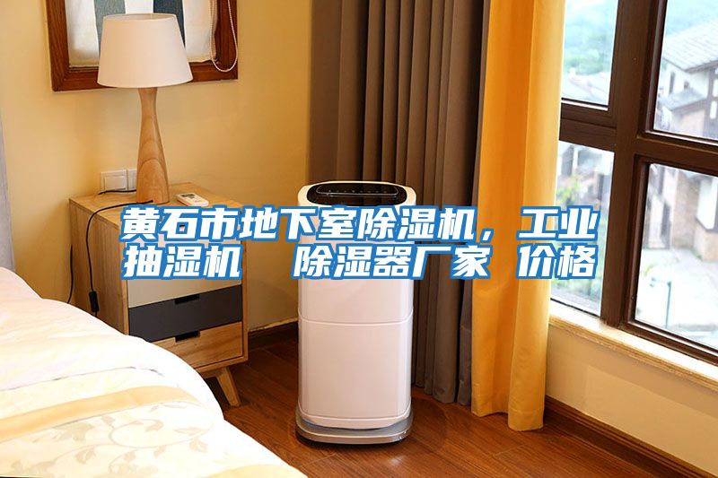 黃石市地下室除濕機，工業抽濕機  除濕器廠家 價格