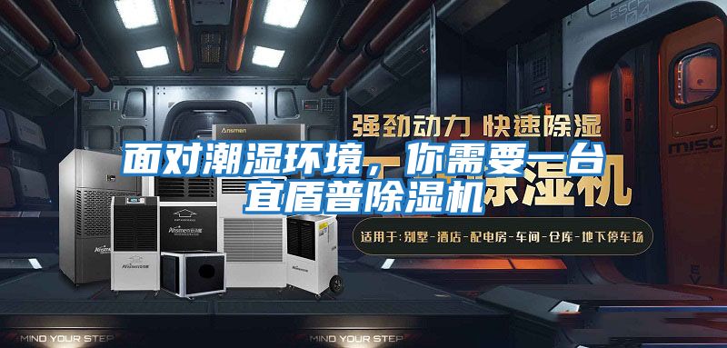 面對潮濕環境，你需要一臺宜盾普除濕機