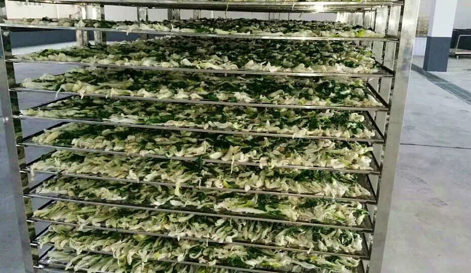 菜干需求一直都很大，蔬菜烘干機很有市場
